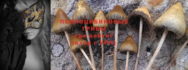 мет Верея