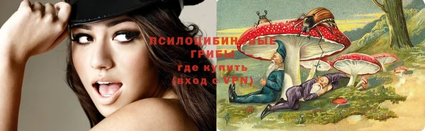 гидропоника Богородицк